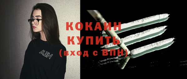 дмт Богородск