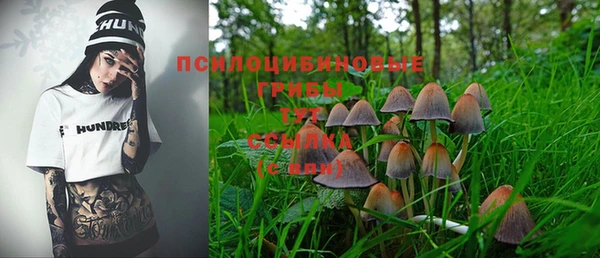MDMA Богданович