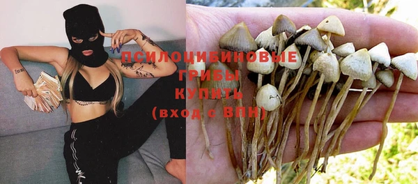 а пвп мука Богородицк