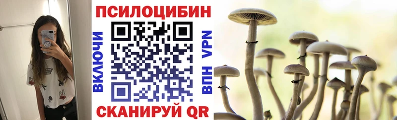 купить наркотики цена  гидра зеркало  Псилоцибиновые грибы Psilocybine cubensis  Ейск 