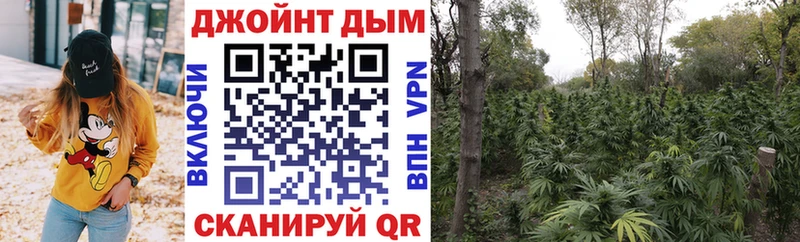 Конопля THC 21%  Ейск 